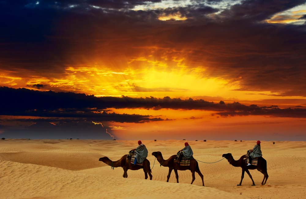 El Desierto del Sáhara: Un Océano de Arena en África