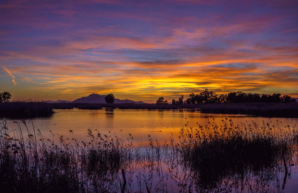 Parque Natural El Hondo Parque Natural El Hondo