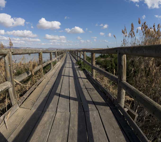 parque natural el hondo