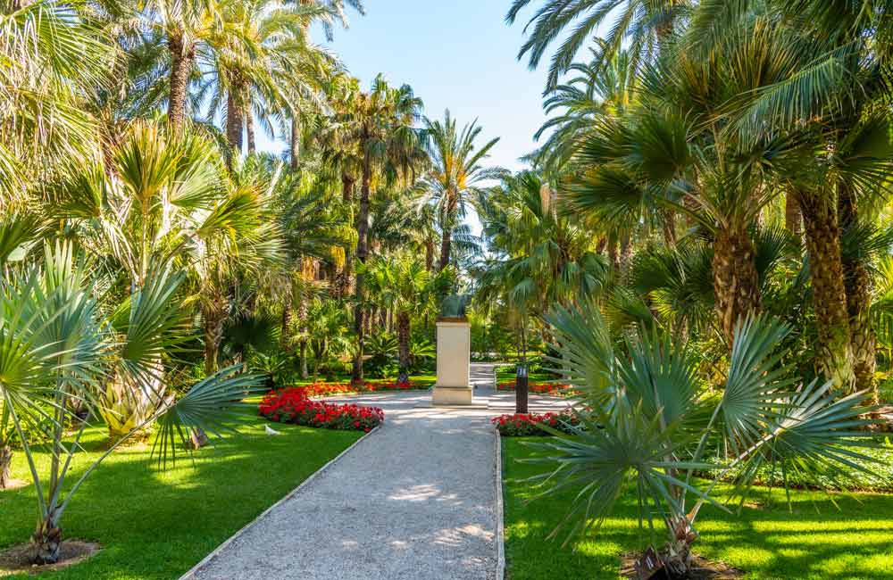 The Huerto del Cura: A Botanical Garden Filled with Palms